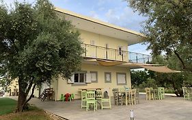 Anastasios Olive Garden Apartments